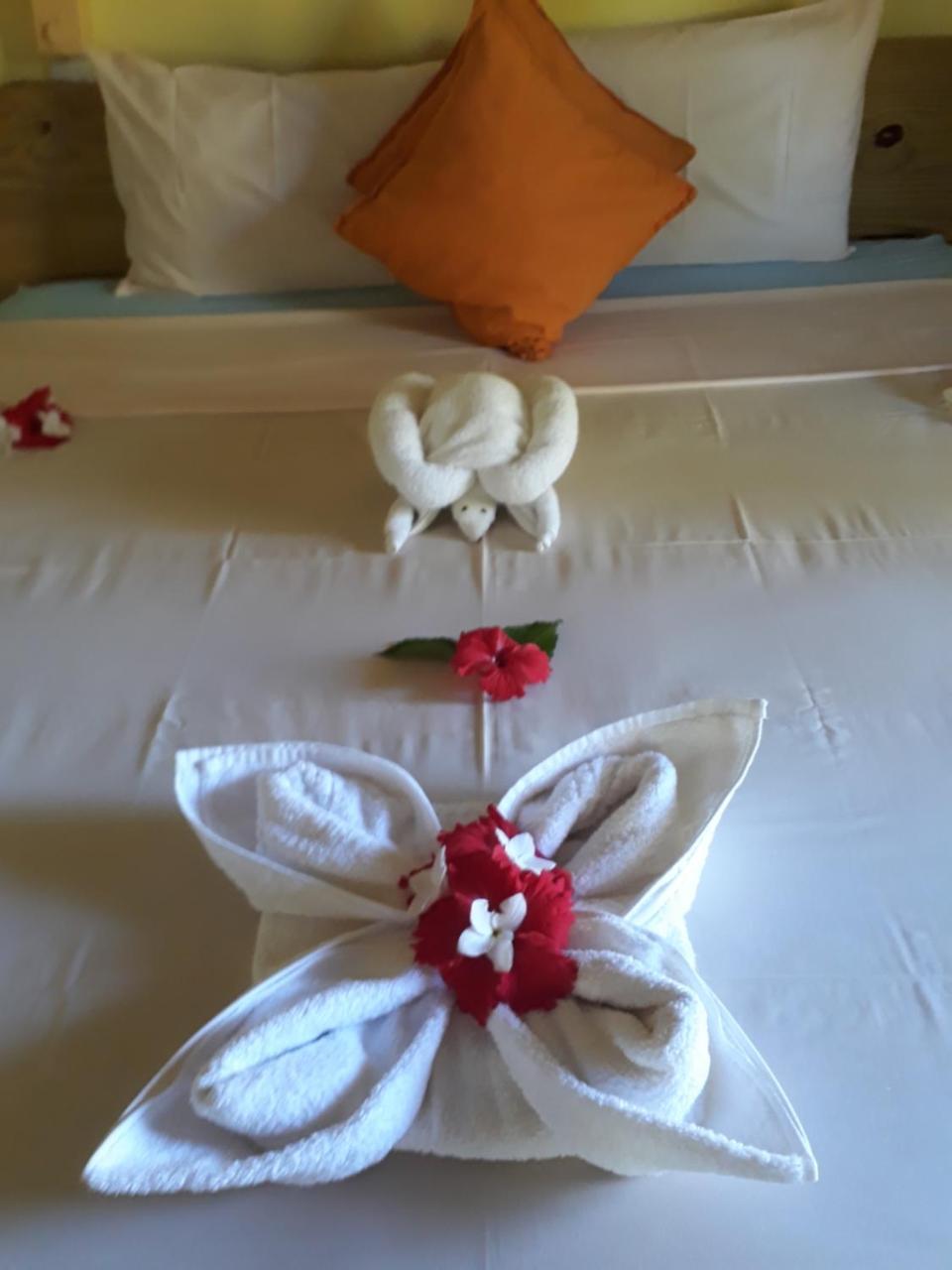 Paradise Flycatcher'S Lodge La Digue Exterior foto